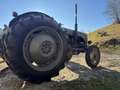 Oldtimer England Massey Ferguson TED20 Grau - thumbnail 15