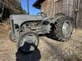 Oldtimer England Massey Ferguson TED20 Grau - thumbnail 16