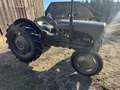 Oldtimer England Massey Ferguson TED20 Grau - thumbnail 12
