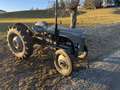 Oldtimer England Massey Ferguson TED20 Grau - thumbnail 8