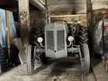 Oldtimer England Massey Ferguson TED20 Grau - thumbnail 5
