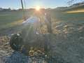 Oldtimer England Massey Ferguson TED20 Grau - thumbnail 10