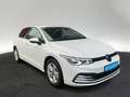 Volkswagen Golf VIII 1.5 TSI LED Navi Cam CarPlay GJ-Reifen Weiß - thumbnail 6