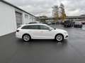 Skoda Octavia Combi 2.0 TDI DSG Style 163€ m. 20% Anzahlung He Blanc - thumbnail 4