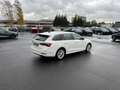Skoda Octavia Combi 2.0 TDI DSG Style 163€ m. 20% Anzahlung He Blanc - thumbnail 6