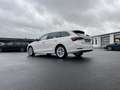 Skoda Octavia Combi 2.0 TDI DSG Style 163€ m. 20% Anzahlung He Blanc - thumbnail 8