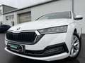 Skoda Octavia Combi 2.0 TDI DSG Style 163€ m. 20% Anzahlung He Blanc - thumbnail 1