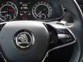 Skoda Kamiq Kamiq 1.0 TSI Style Autom./Klima/PDC/Kamera/LM LED Silber - thumbnail 14
