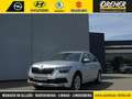 Skoda Kamiq Kamiq 1.0 TSI Style Autom./Klima/PDC/Kamera/LM LED Silber - thumbnail 1