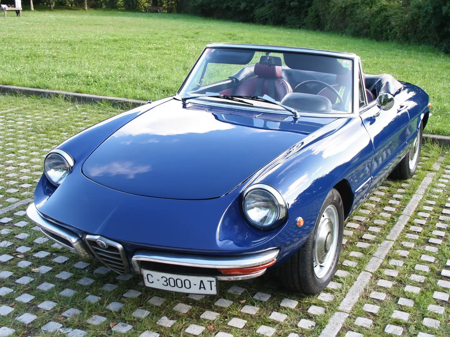 Alfa Romeo Spider 1750 Spider Veloce (USA) Blauw - 1