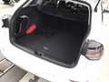 Volkswagen Golf Variant Golf VIII Variant 2.0 TDI DSG Goal AHK+IQ.LIGHT Weiß - thumbnail 7