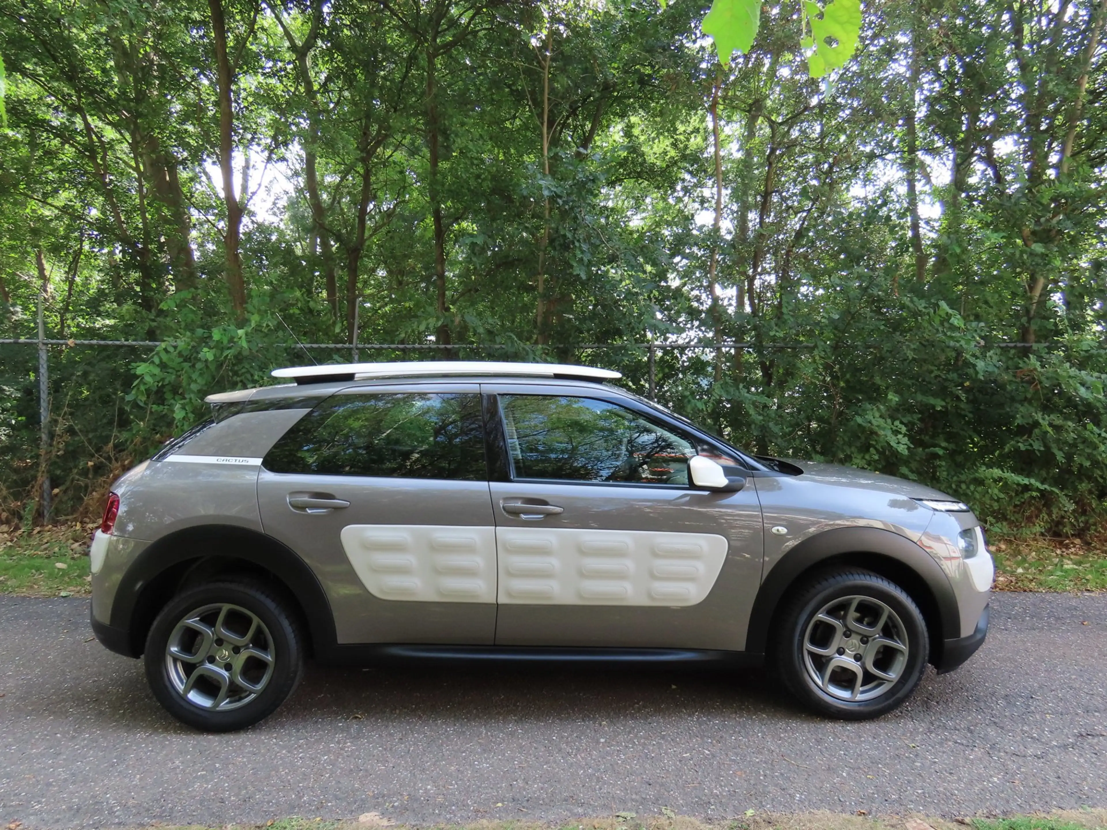 Citroen C4 Cactus 1.2 PureTech Live *1e EIG ! — photo 6