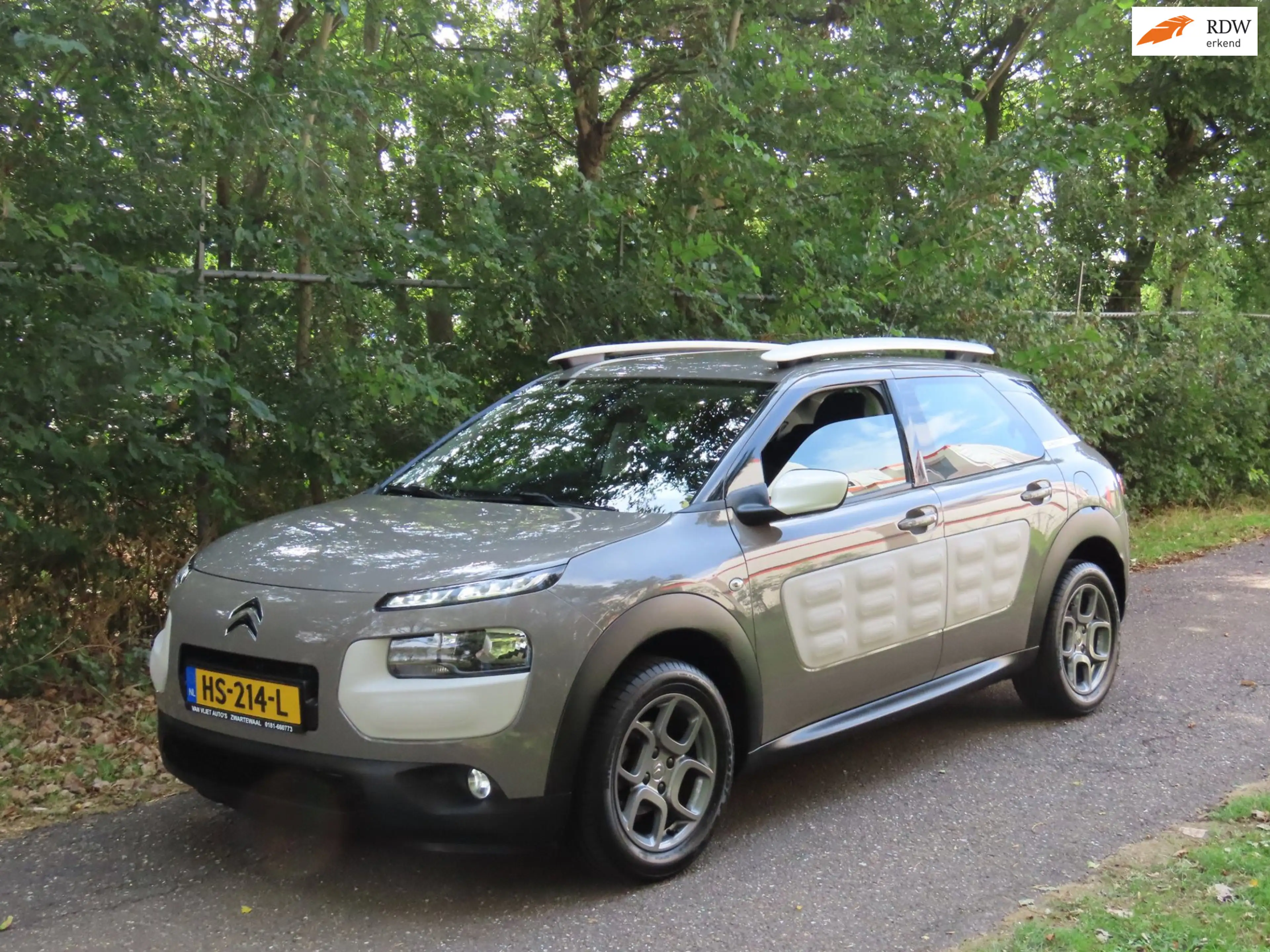 Citroen C4 Cactus 1.2 PureTech Live *1e EIG !