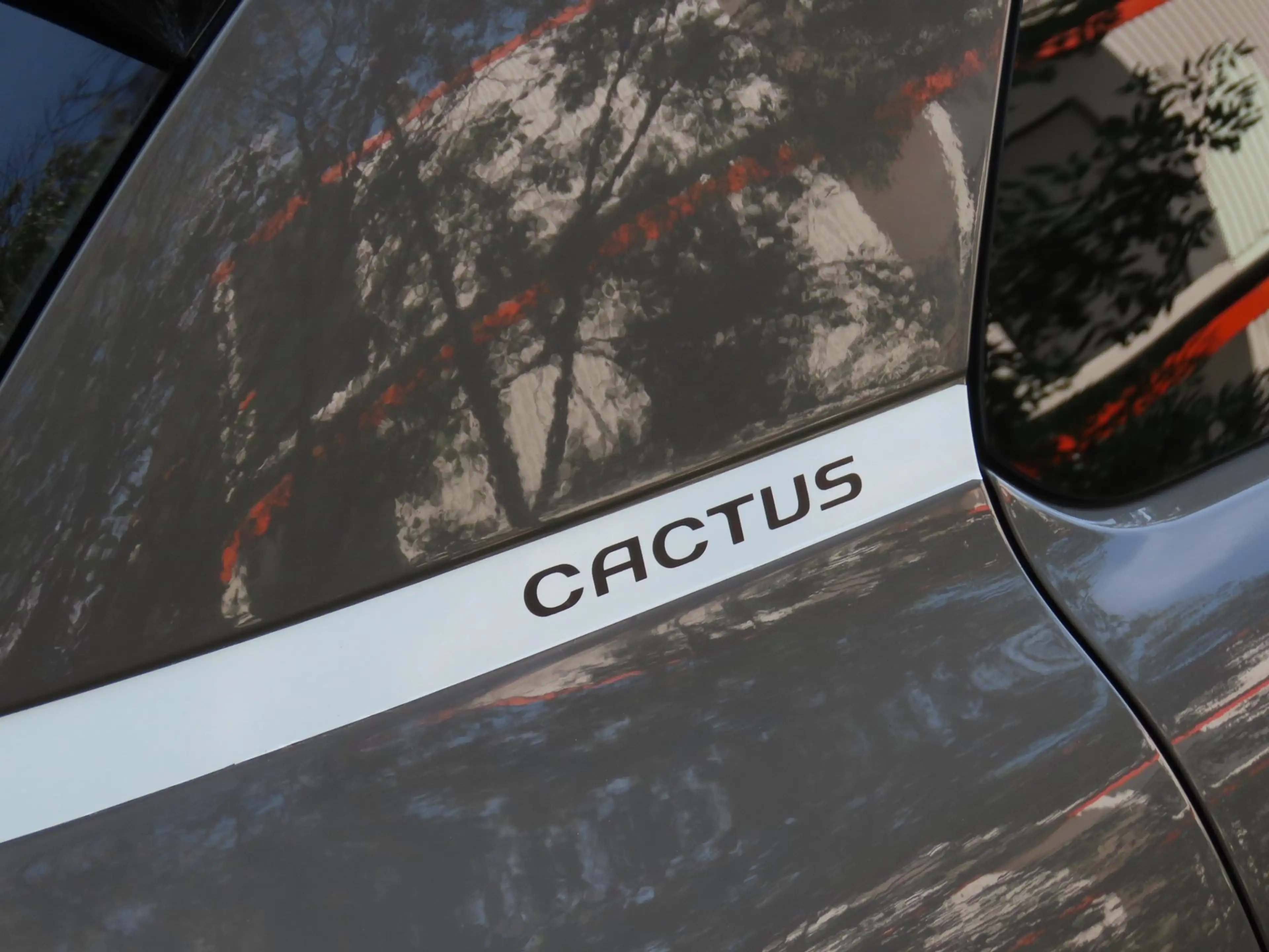 Citroen C4 Cactus 1.2 PureTech Live *1e EIG ! — photo 10
