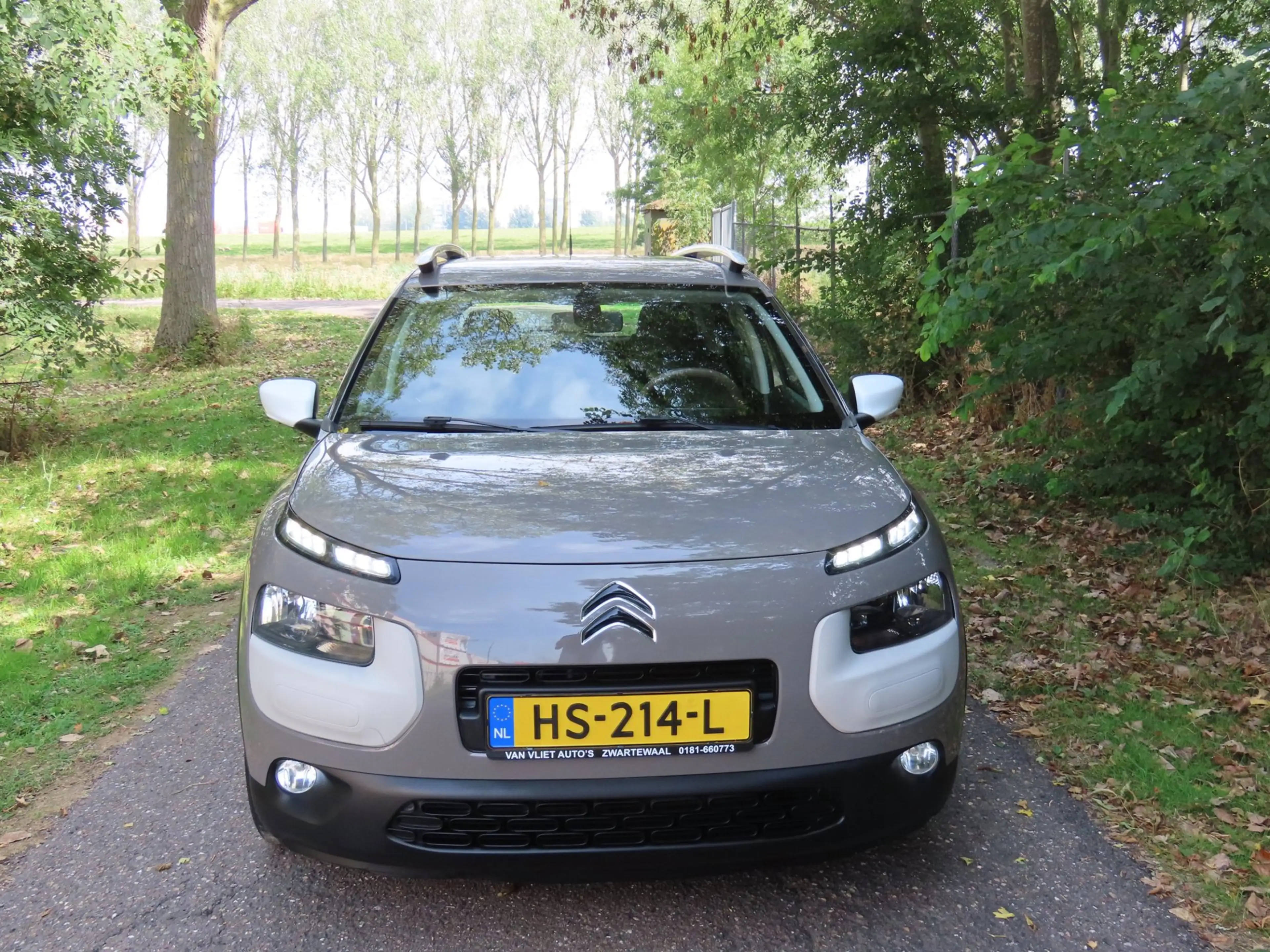 Citroen C4 Cactus 1.2 PureTech Live *1e EIG ! — photo 8