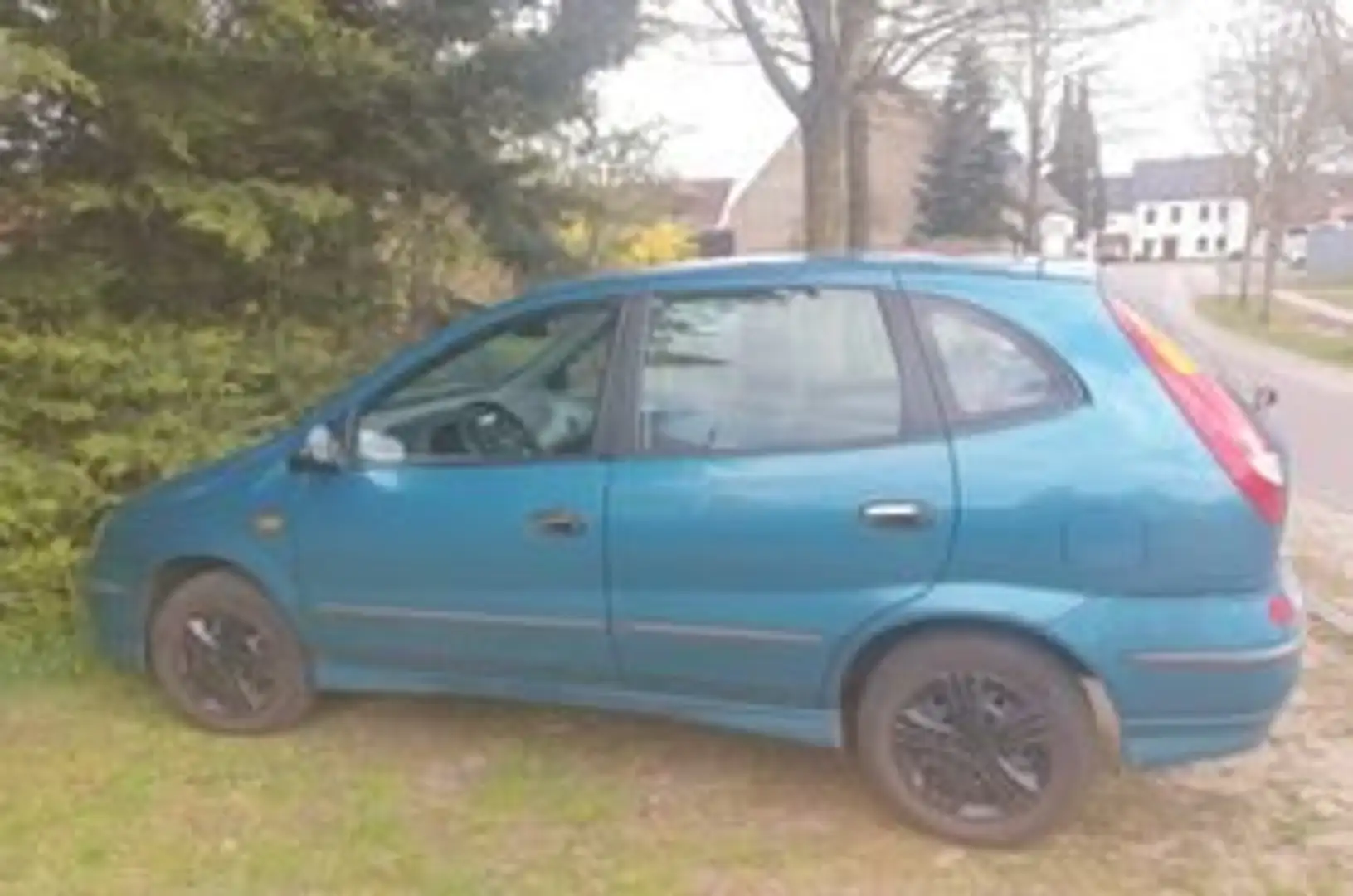 Nissan Almera Tino Almera Tino acenta Bleu - 1