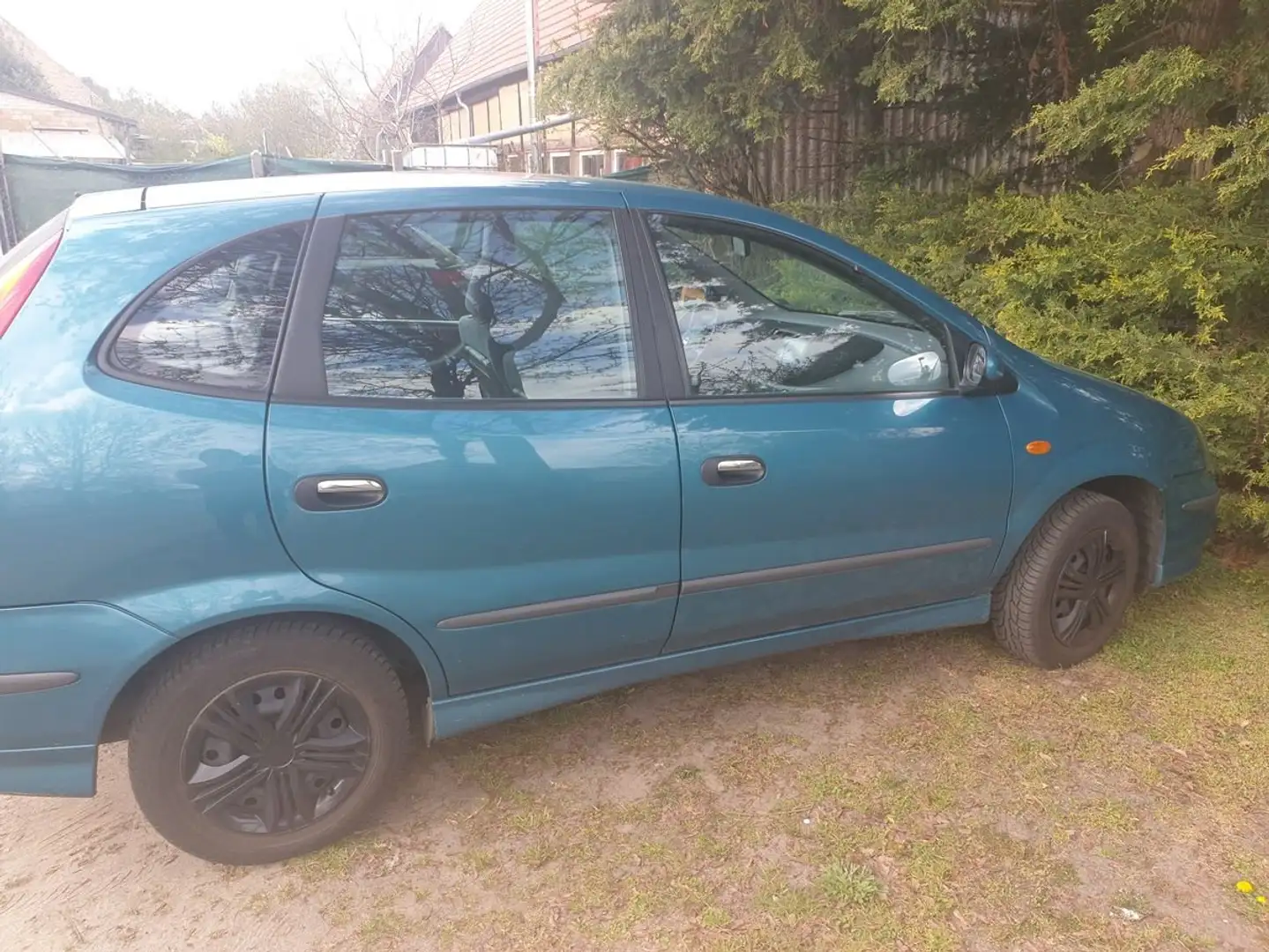 Nissan Almera Tino Almera Tino acenta Bleu - 2