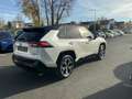 Toyota RAV 4 Plug-in Hybrid 4x4 Style mit Technik Paket Blanc - thumbnail 5