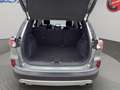Ford Kuga 1.5 ecoblue Titanium X 2wd 120cv auto Grau - thumbnail 17