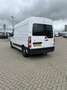 Renault Master T35 2.3 dCi 135 L2H2 Comfort | trekhaak | Wit - thumbnail 8