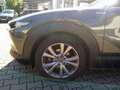 Mazda CX-30 SKYACTIV 150 AT Selection AHK/SHZ/LHZ/NAVI Grau - thumbnail 17