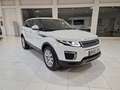 Land Rover Range Rover Evoque 2.0TD4 HSE Dynamic 4WD Aut. 150 Blanco - thumbnail 7