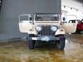 Jeep CJ-7 LAREDO MOTORE ISUZU NO RUGGINE MECCANICA OK Beige - thumbnail 18