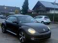 Volkswagen Beetle Lim. Design*NEU*TÜV* gepflegt*Sitzhei*Tem Zwart - thumbnail 3