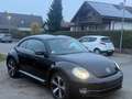 Volkswagen Beetle Lim. Design*NEU*TÜV* gepflegt*Sitzhei*Tem Zwart - thumbnail 6