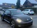 Volkswagen Beetle Lim. Design*NEU*TÜV* gepflegt*Sitzhei*Tem Zwart - thumbnail 13