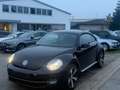 Volkswagen Beetle Lim. Design*NEU*TÜV* gepflegt*Sitzhei*Tem Zwart - thumbnail 5