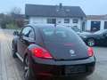 Volkswagen Beetle Lim. Design*NEU*TÜV* gepflegt*Sitzhei*Tem Zwart - thumbnail 10