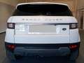 Land Rover Range Rover Evoque 2.0TD4 SE 4WD Aut. 150 Blanco - thumbnail 2