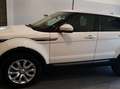 Land Rover Range Rover Evoque 2.0TD4 SE 4WD Aut. 150 Blanco - thumbnail 5