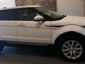 Land Rover Range Rover Evoque 2.0TD4 SE 4WD Aut. 150 Blanco - thumbnail 4