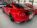 Ford Mustang SHELBY GT 350 V8 5.2L 526cv de 2016 en France - thumbnail 4