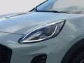 Ford Puma 1,0 EcoBoost Hybrid Titanium Grau - thumbnail 7