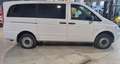 Mercedes-Benz Vito 4X4  4MATIC Blanc - thumbnail 10