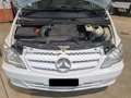 Mercedes-Benz Vito 4X4  4MATIC Blanc - thumbnail 11