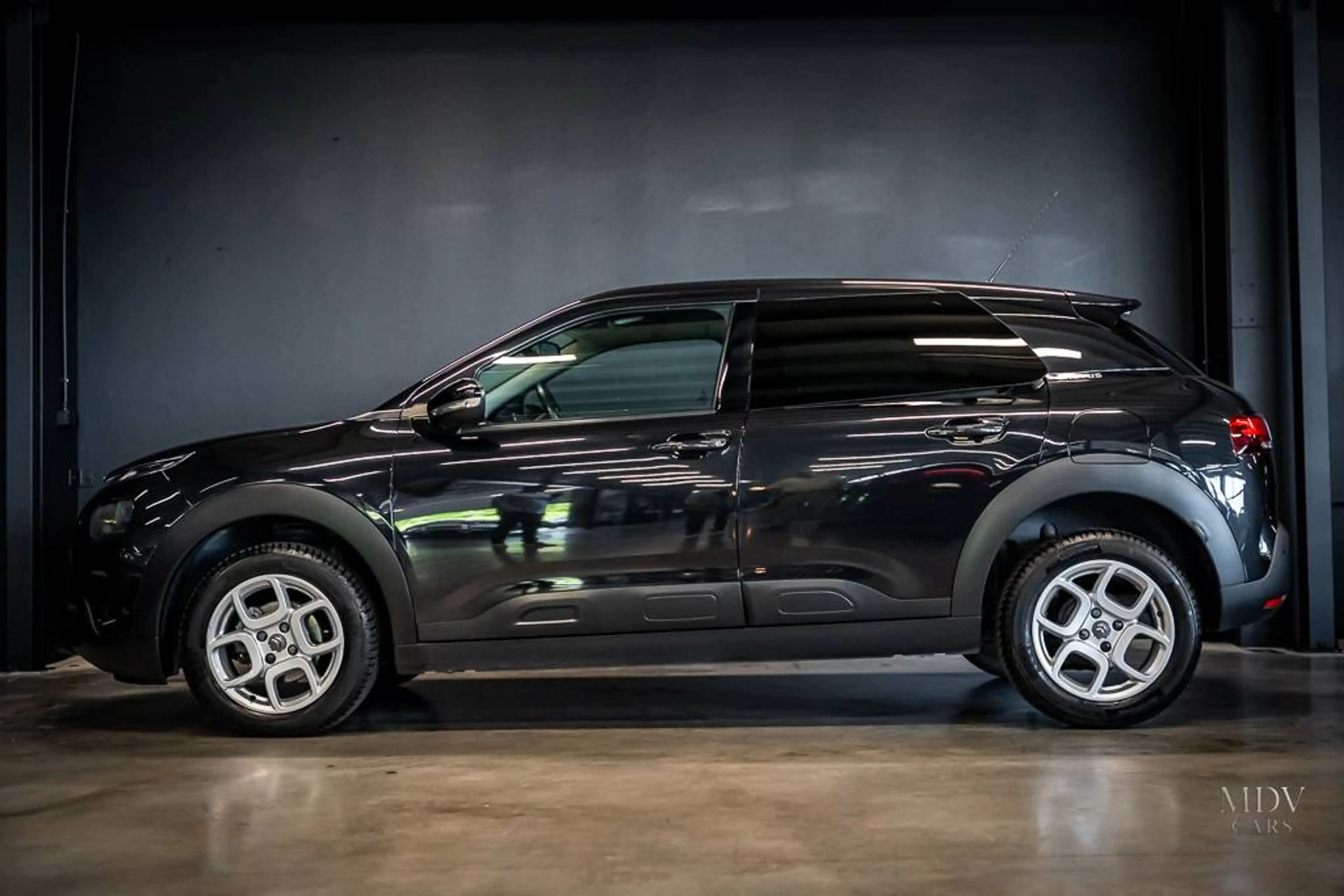 Citroen C4 Cactus C4 Cactus — photo 3