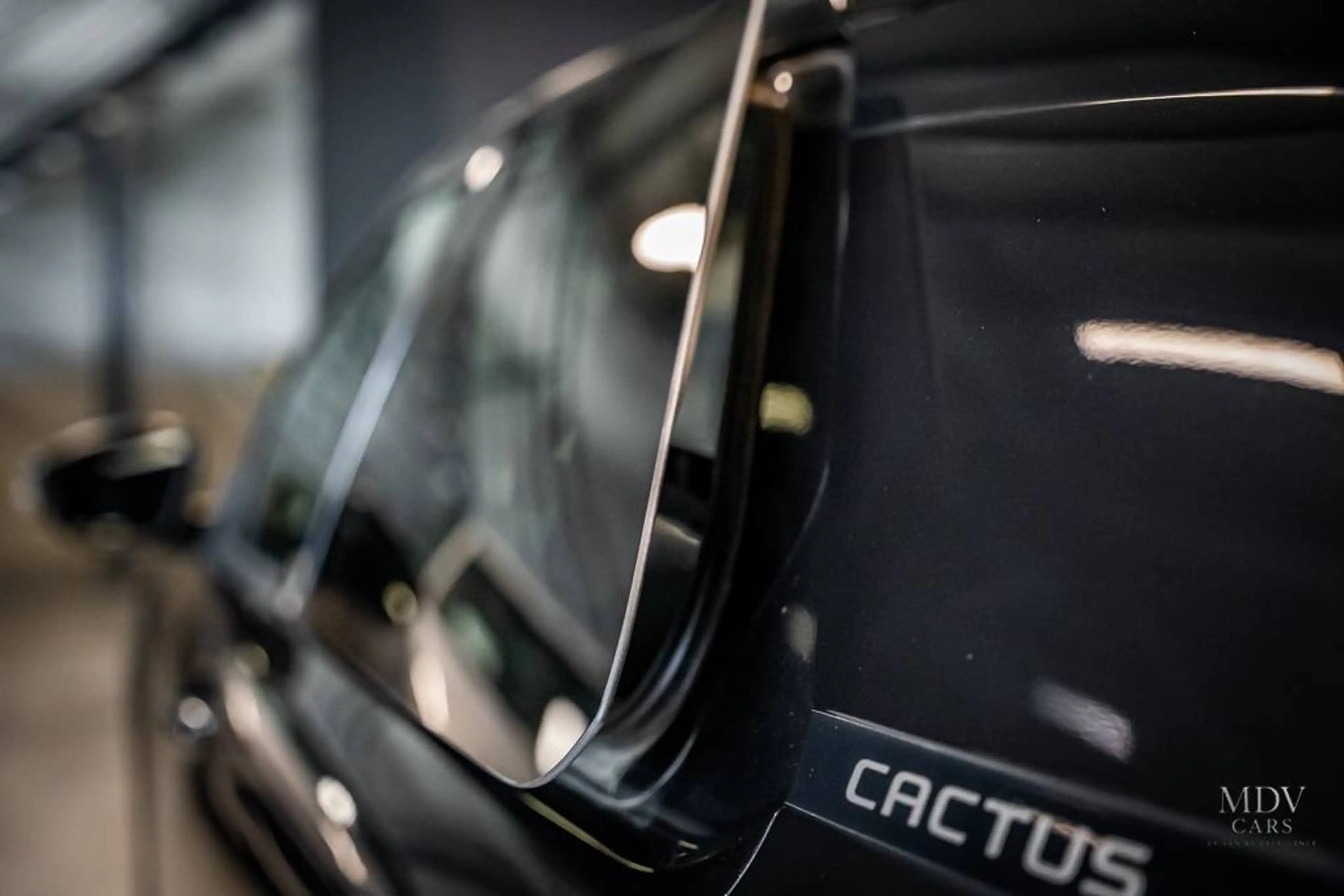 Citroen C4 Cactus C4 Cactus — photo 7
