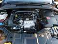 Ford Focus ST-LINE GARANTIE KAMERA ALLWETTERREIFEN  TOP Zwart - thumbnail 16