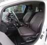 Ford Fiesta 1.0 EcoBoost Vignale NAVI / CAMERA / DAB Blanc - thumbnail 10