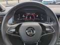 Skoda Kodiaq 2.0TDI Sportline 4x4 STANDHZ PANO LED NAV Blau - thumbnail 16