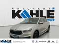 Skoda Fabia 1.0 TSI Ambition Einparkhilfe Fenster el. Silber - thumbnail 1