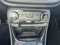 Ford Puma ST-LINE - 1.0 EcoBoost - 125PK - GARANTIE Gris - thumbnail 20