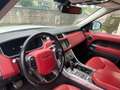 Rover Rover Macchina  in ordine molto bella con interni rossi bijela - thumbnail 3