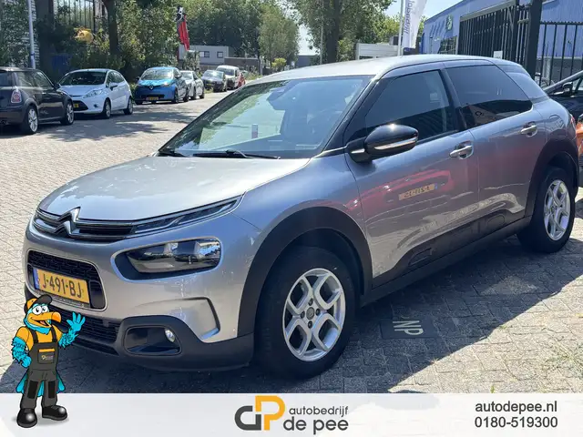 Citroen C4 Cactus view 2