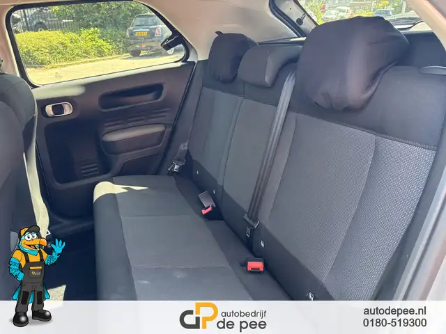 Citroen C4 Cactus view 11