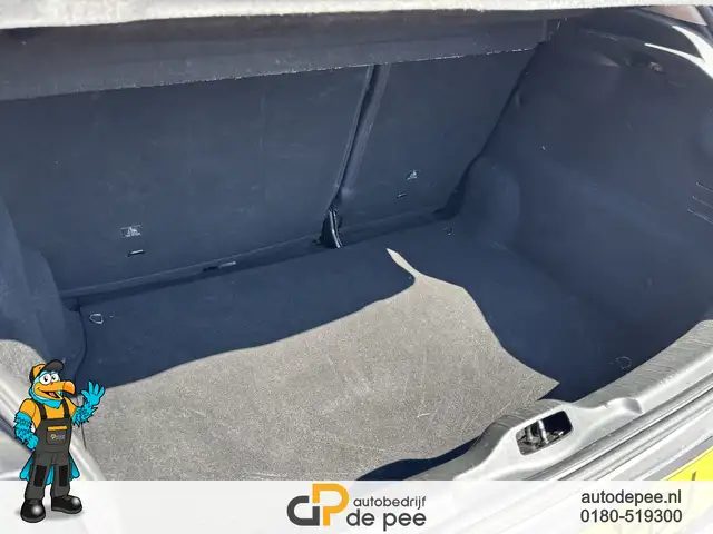 Citroen C4 Cactus view 13
